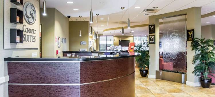 舒适套房酒店-棕榈湾墨尔本(Comfort Suites Palm Bay - Melbourne)图片