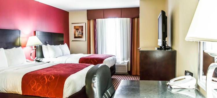 舒适套房酒店-棕榈湾墨尔本(Comfort Suites Palm Bay - Melbourne)图片