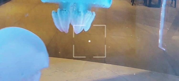 豪城商旅民生馆图片