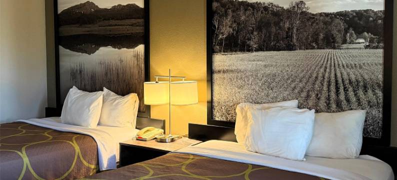 瓦斯城马里恩区速8酒店(Super 8 by Wyndham Gas City Marion Area)图片