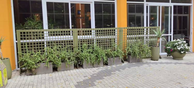 奥诺莫前滩力士签名酒店(ONOMO Hotel Cape Town Foreshore)图片