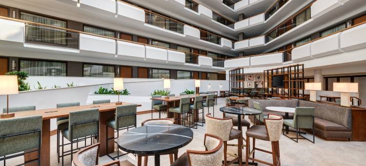 希尔顿安泊酒店-泰森斯角(Embassy Suites by Hilton Tysons Corner)图片