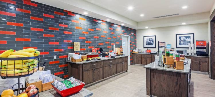 希尔顿欢朋酒店-北小岩麦凯恩购物中心(Hampton Inn North Little Rock-McCain Mall)图片