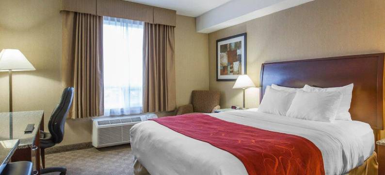 舒适酒店及套房- 艾尔德里(Comfort Inn & Suites)图片