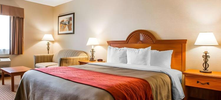 凯艺酒店(Quality Inn)图片