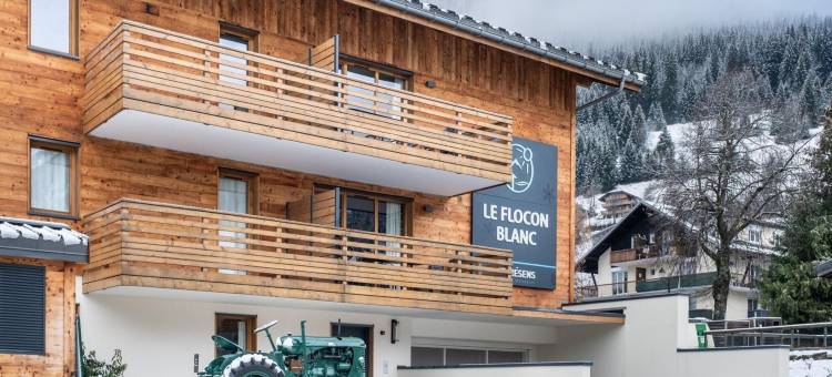 Apartment in La Chapelle near Ski Lift图片