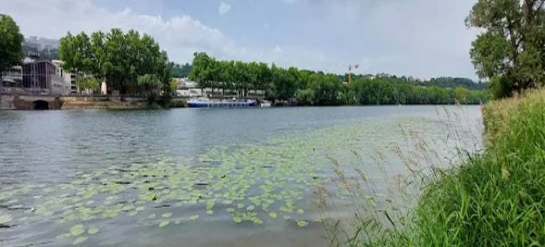 Dify Nid douillet - Bellecour图片