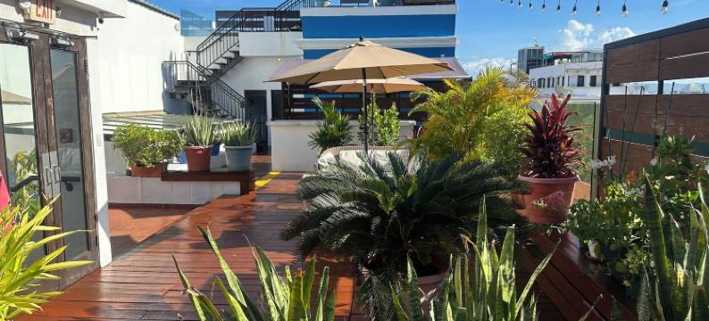 352 号旅馆(352 Guest House Hotel Boutique)图片