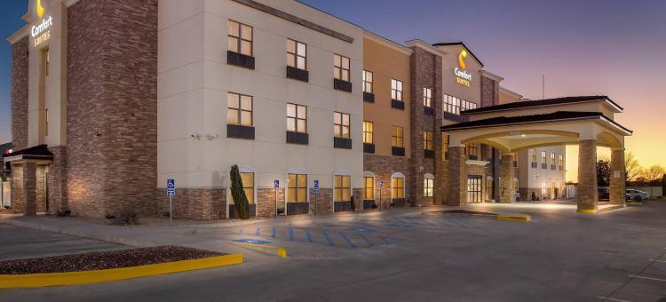 舒适套房酒店(Comfort Suites)图片