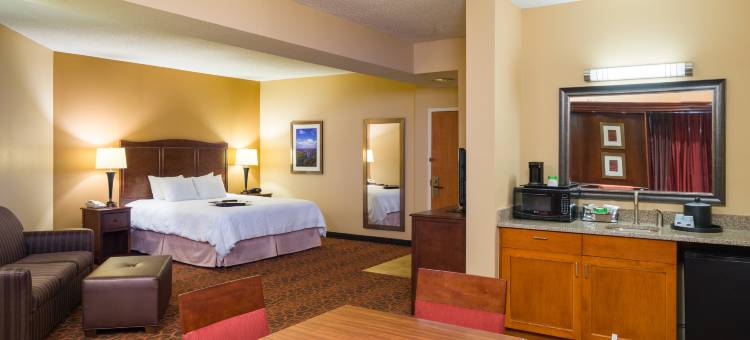 锡林斯格罗夫/沙莫金大坝希尔顿欢朋酒店(Hampton Inn Selinsgrove/Shamokin Dam)图片