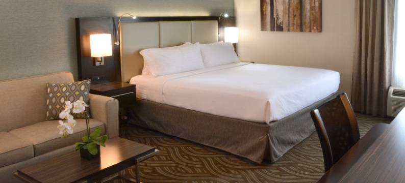 Holiday Inn 扬斯敦南(博德曼)(Holiday Inn YOUNGSTOWN-SOUTH (BOARDMAN) by IHG)图片