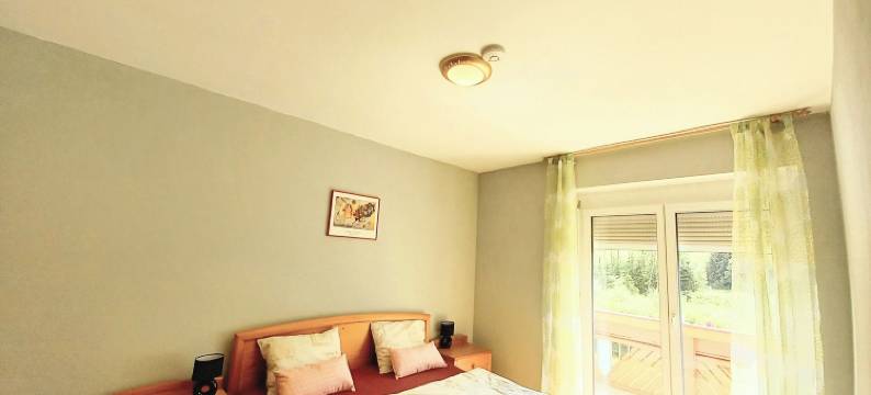 阿列古斯塔(Alie Gusta)图片