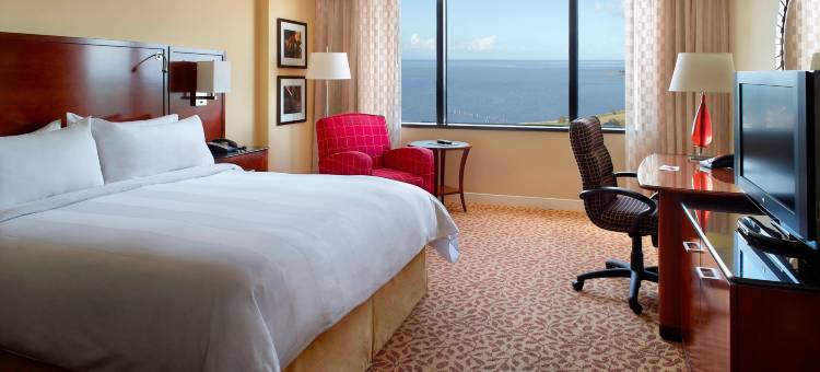 新奥尔良梅泰里莱克威万豪酒店(New Orleans Marriott Metairie at Lakeway)图片