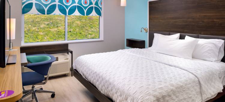 希尔顿旗下Tru-斯丹顿(Tru by Hilton Staunton)图片