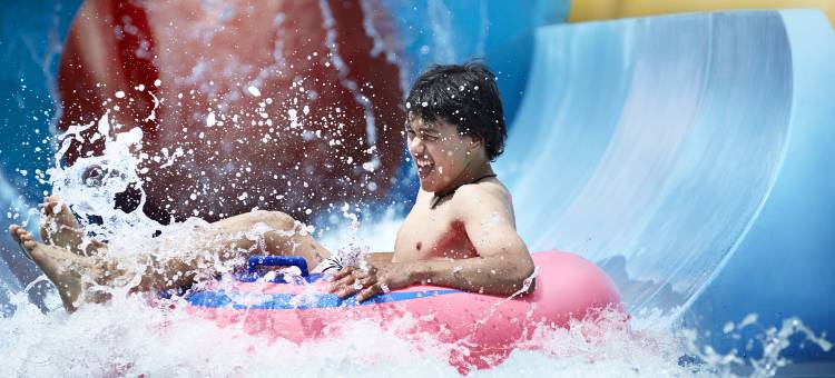 哈里斯堡地区赫尔希智选假日酒店(Holiday Inn Express HERSHEY (HARRISBURG AREA) by IHG)图片