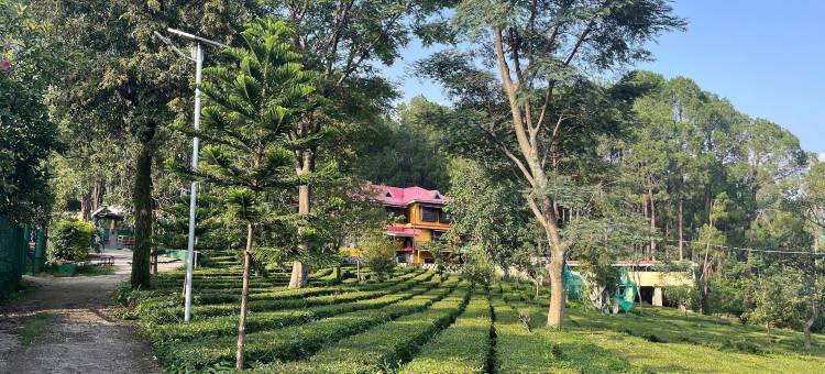 皇家绿芽酒店(Royal Green Buds)图片