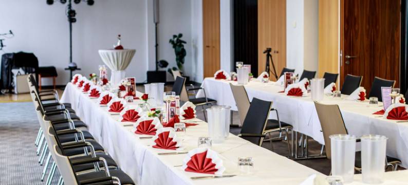 里萨德累斯顿艾尔布兰德美居酒店(Mercure Hotel Riesa Dresden Elbland)图片