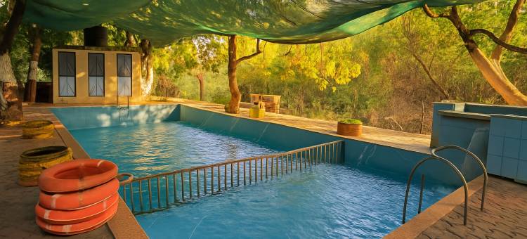 荒野别墅吉尔河畔度假村(The Wilds Villa Gir Jungle Stay with Swimming Pool)图片