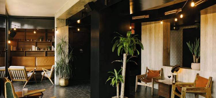 纽约亨利酒店(Hotel Henri NY)图片