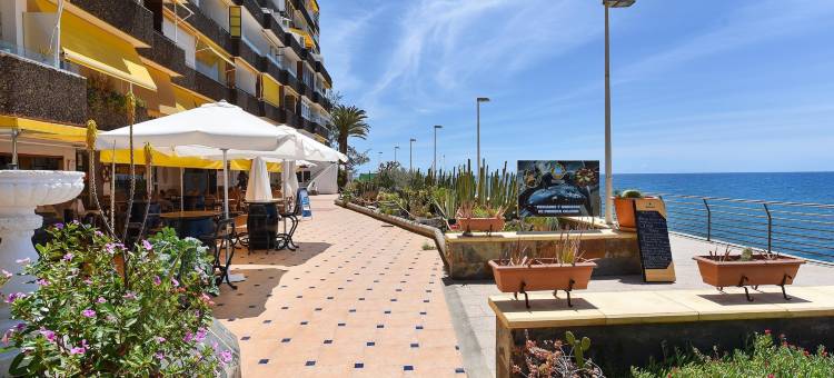 Studio in Gran Canaria near Golden Beaches图片
