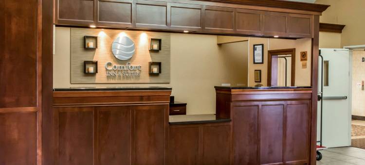 辛辛那提东门舒适套房酒店(Comfort Inn & Suites Cincinnati Eastgate)图片