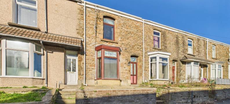 凤凰(The Phoenix)图片