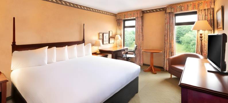 加的夫国敦酒店(Copthorne Hotel Cardiff-Caerdydd)图片