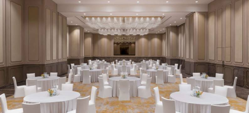 诺富特加尔各达 - 酒店和公寓(Novotel Kolkata - Hotel & Residences)图片