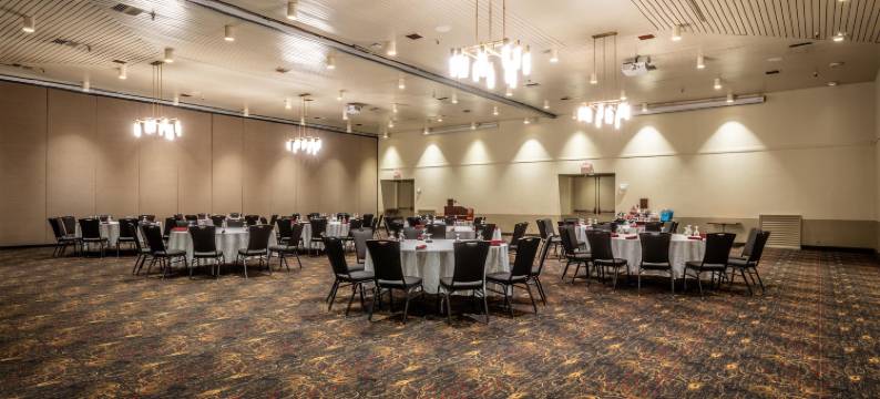 韦斯特马克费尔班克斯酒店及会议中心(Westmark Fairbanks Hotel and Conference Center)图片