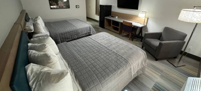 格林豪泰玛丽维尔熊狸套房酒店(GreenTree Inn  Maryville - Bearcat Inn & Suites)图片