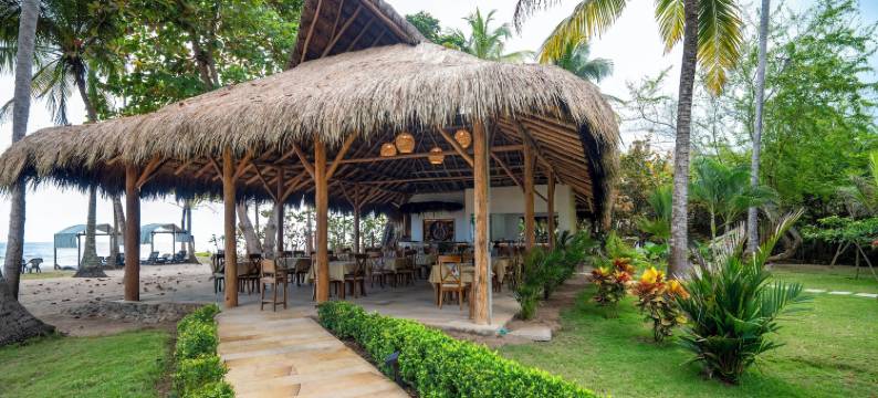 科科努科海滩帕洛米诺(Coconuco Beach Palomino)图片