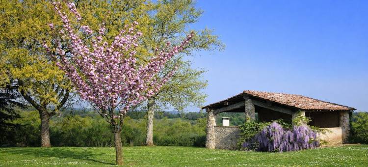 法托里阿内博纳农庄旅馆(Fattoria Agriturismo Nerbona)图片