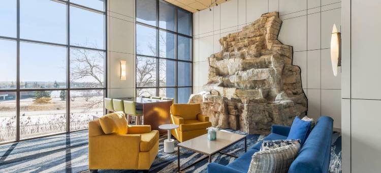 伊根明尼阿波利斯康福特酒店-圣保罗南部(Comfort Inn Eagan Minneapolis - St. Paul South)图片