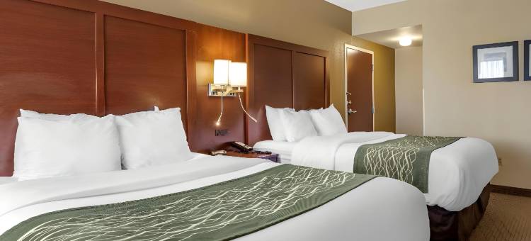 舒适酒店(Comfort Inn Warren)图片