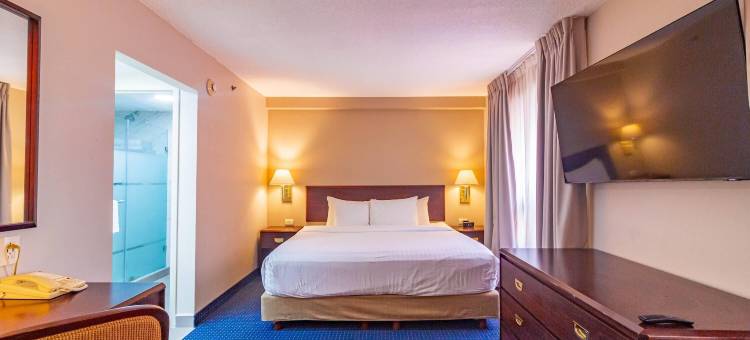 温德姆花园北蒙特雷酒店(Wyndham Garden Monterrey Norte)图片