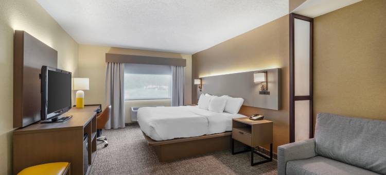 巴特勒舒适套房酒店(Comfort Inn & Suites Butler)图片