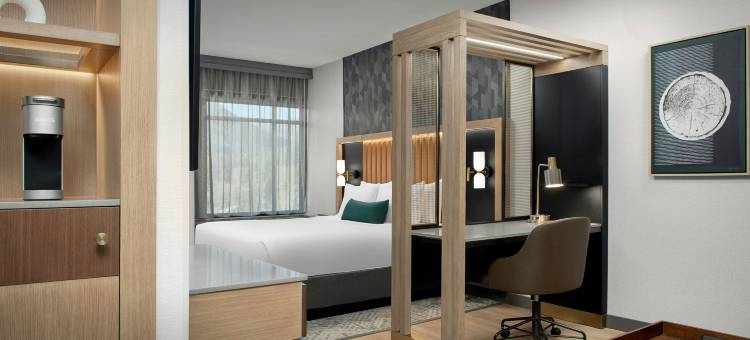桑德波因特春丘酒店(SpringHill Suites Sandpoint)图片