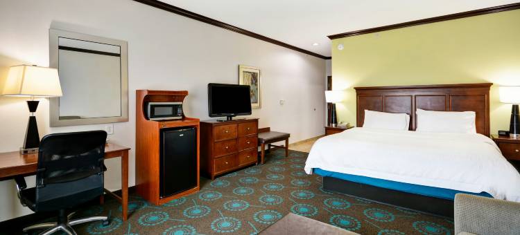 圣安东尼奥/东北I-35欢朋酒店及套房(Hampton Inn & Suites San Antonio/Northeast I-35)图片