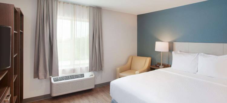 休斯顿 288 号南医学中心伍德斯普林套房酒店(WoodSpring Suites Houston 288 South Medical Center)图片
