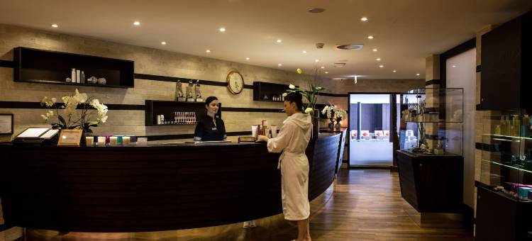 瑞欧亚普木屋温泉酒店(Chalet RoyAlp Hotel and Spa)图片