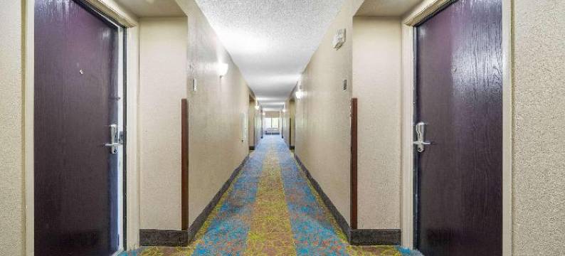 佛罗里达州利斯堡蔚景温德姆酒店(Wingate by Wyndham Leesburg Florida)图片