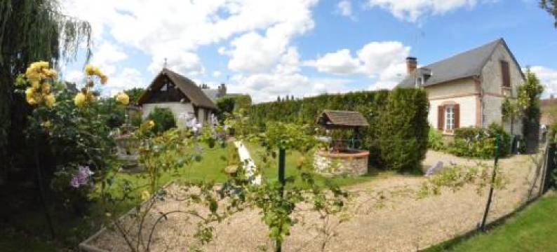 Studio MIL Roses图片