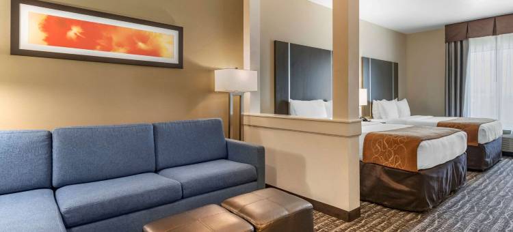 舒适套房靠近萨姆休斯顿赛马公园(Comfort Suites Near Sam Houston Race Park)图片