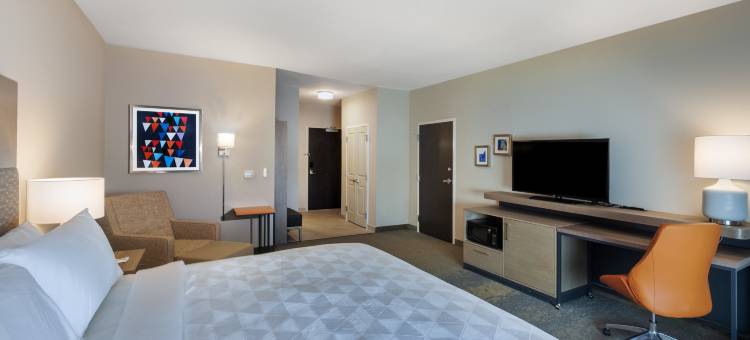 拉伯克南假日酒店(Holiday Inn Lubbock South)图片