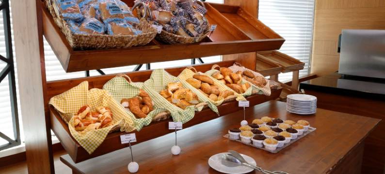 伊斯坦布尔亚洲卡瓦奇克丽柏酒店(Park Inn by Radisson Istanbul Asia Kavacik)图片