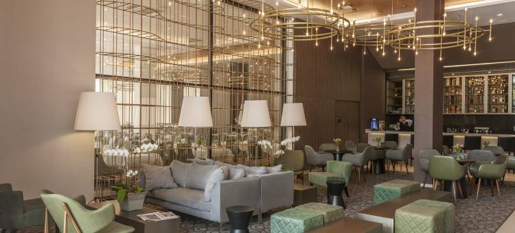 因达亚图巴皇家棕榈塔酒店(Royal Palm Tower Indaiatuba)图片