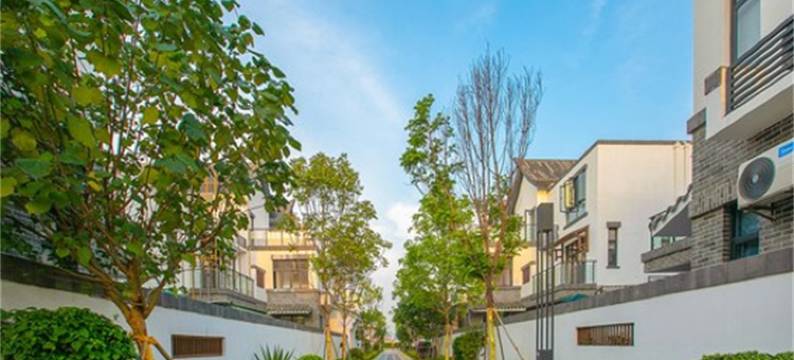 广东海边温泉别墅青青(奥园大道分店)图片