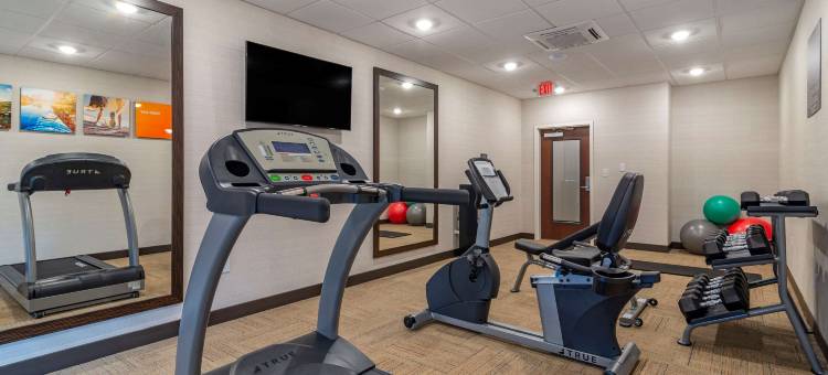 舒适套房酒店(Comfort Suites)图片