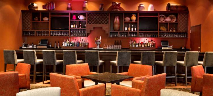 阿尔伯克基希尔顿安泊酒店(Embassy Suites by Hilton Albuquerque)图片