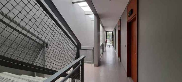 Merlyns Garden Inn图片